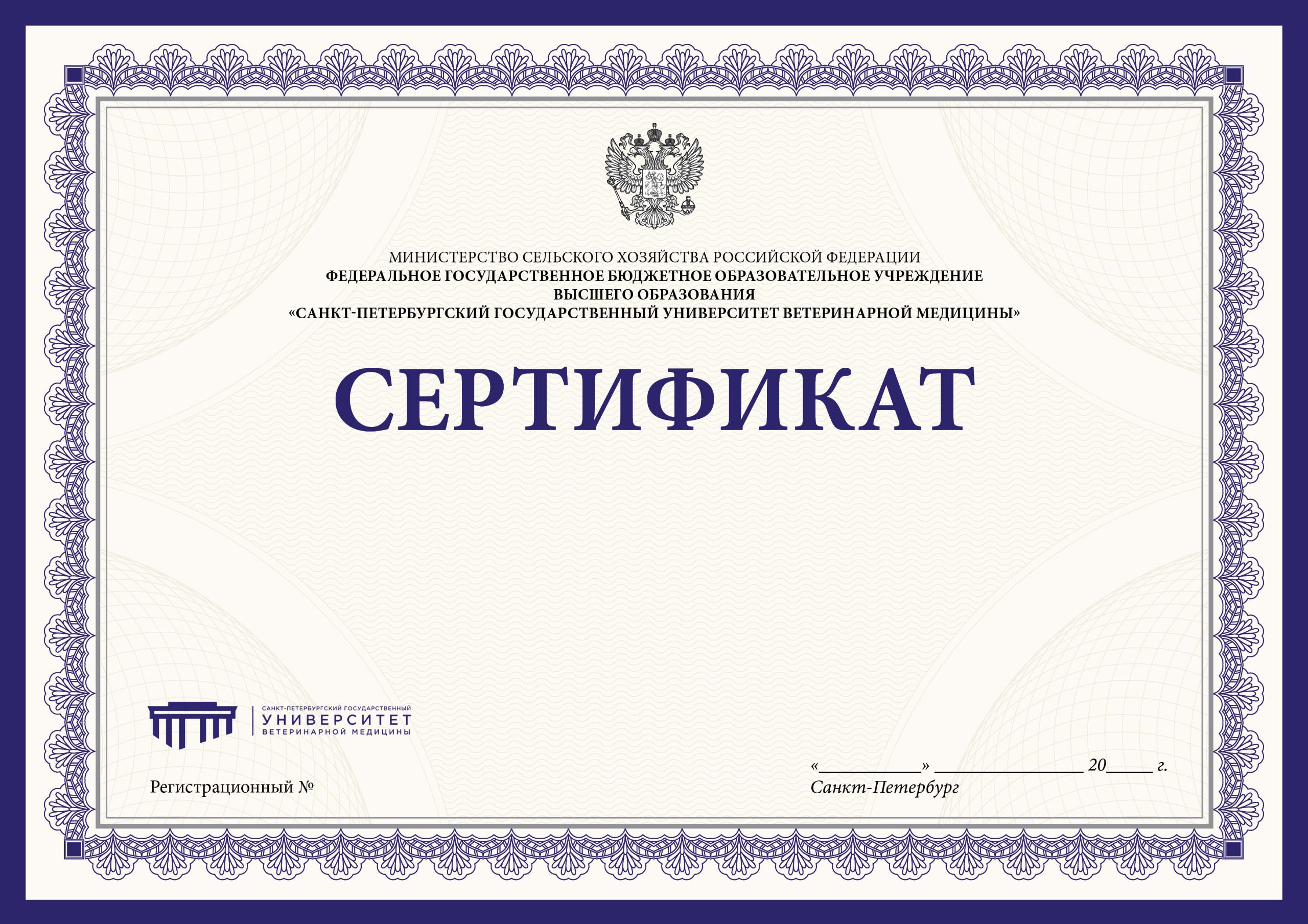 Шаблон сертификата